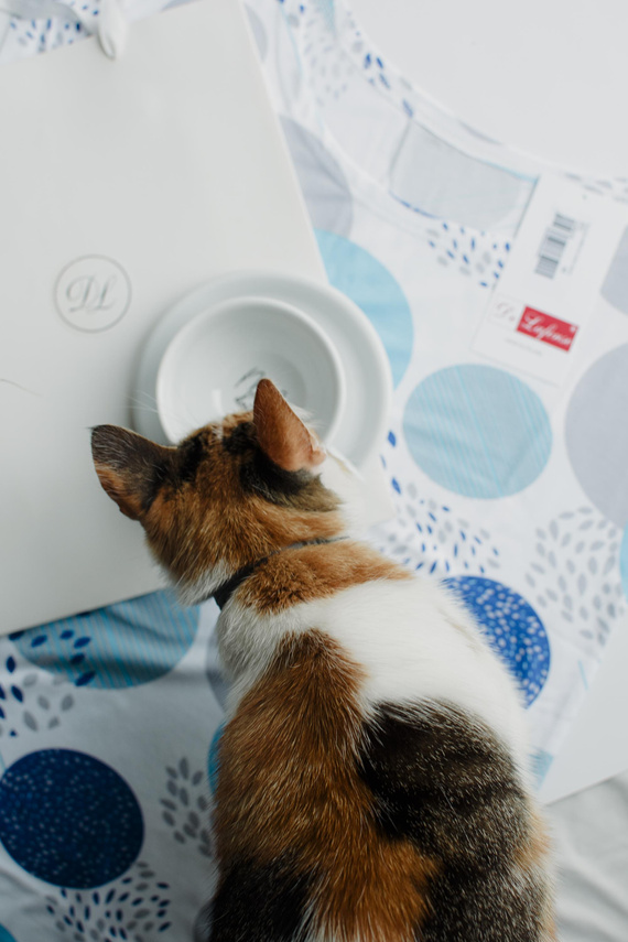 860 Amelia De Lafense hálóing - rövid ujjú, puha viszkóz - türkizkék