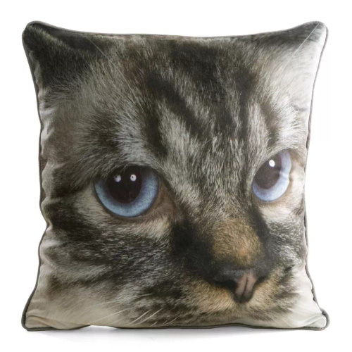 Animal 45x45 bársony párnahuzat Eurofirany cipzárral cat