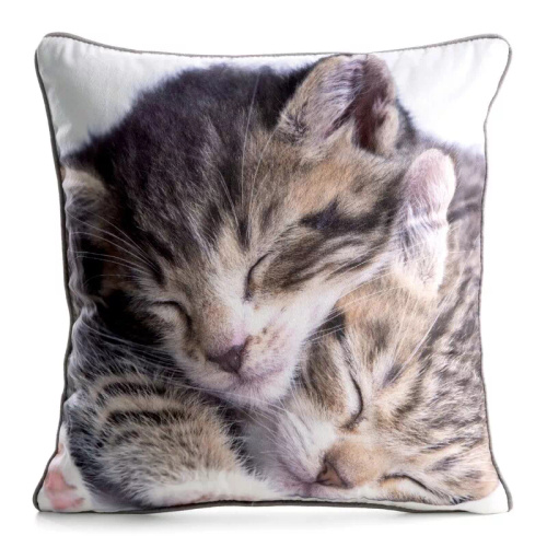 Animal 45x45 bársony párnahuzat Eurofirany cipzárral cat