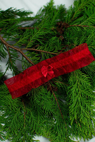 221 De Lafense sifon harisnyakötő - piros