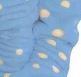 998 Bowtie Forex gyermek fürdőköpeny - kék