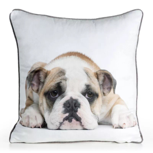 Animal 45x45 bársony párnahuzat Eurofirany cipzárral buldog 